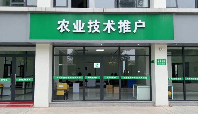 特色水果应用基础知识